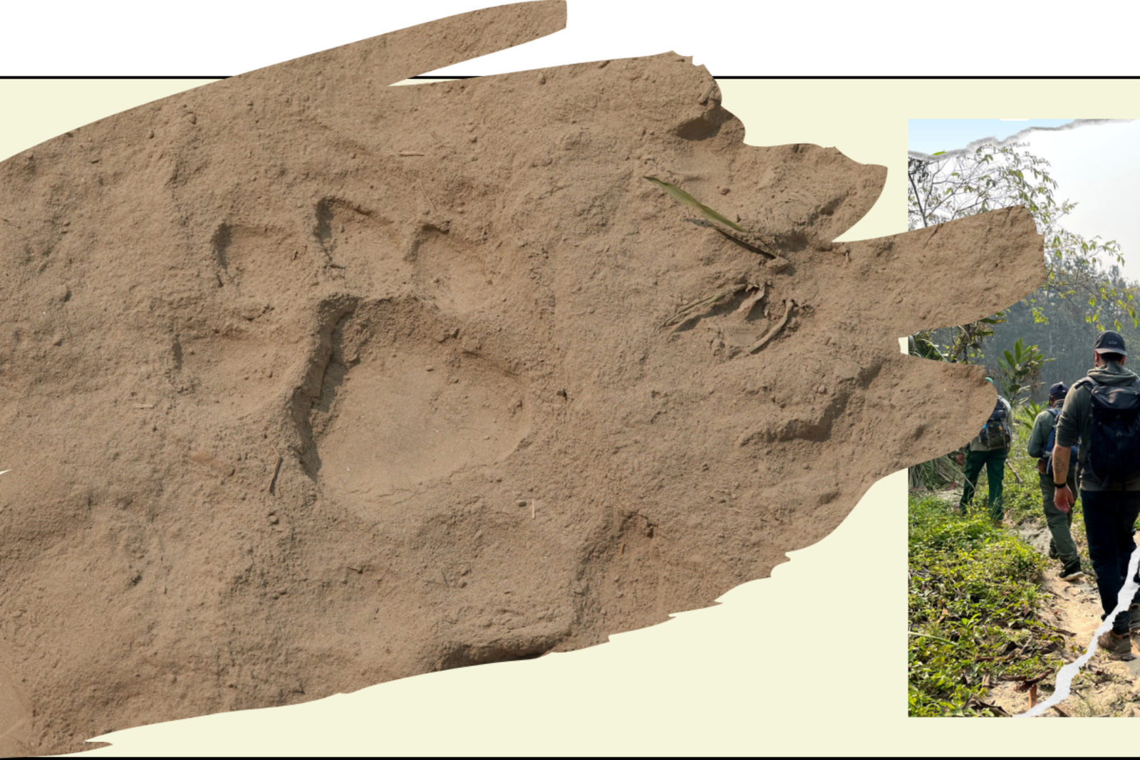 #2 – Nepal, Safari im Chitwan Nationalpark