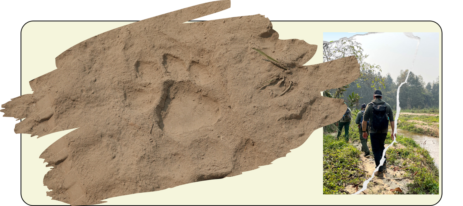 You are currently viewing #2 – Nepal, Safari im Chitwan Nationalpark