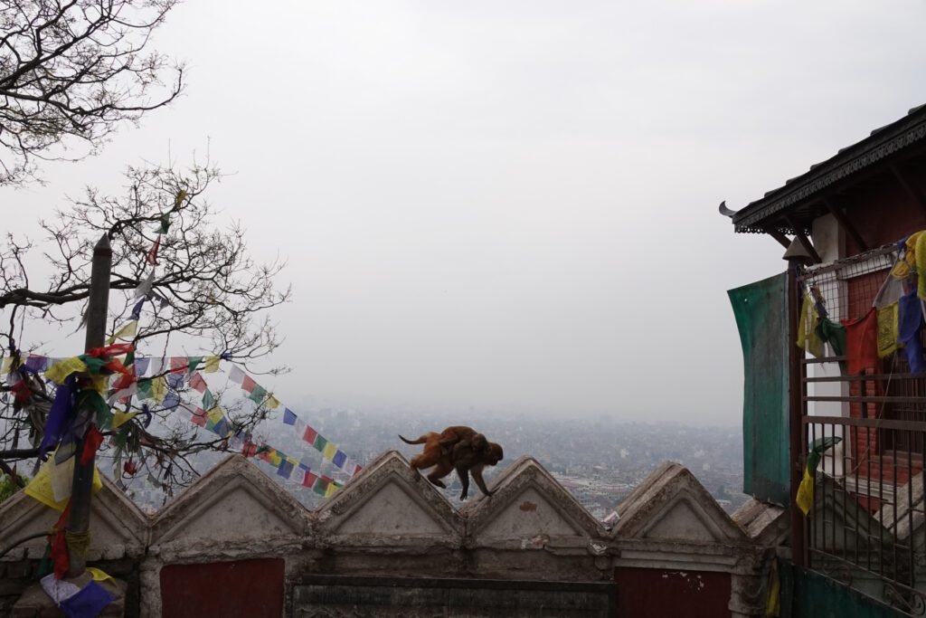 Blick auf das Kathmandutal