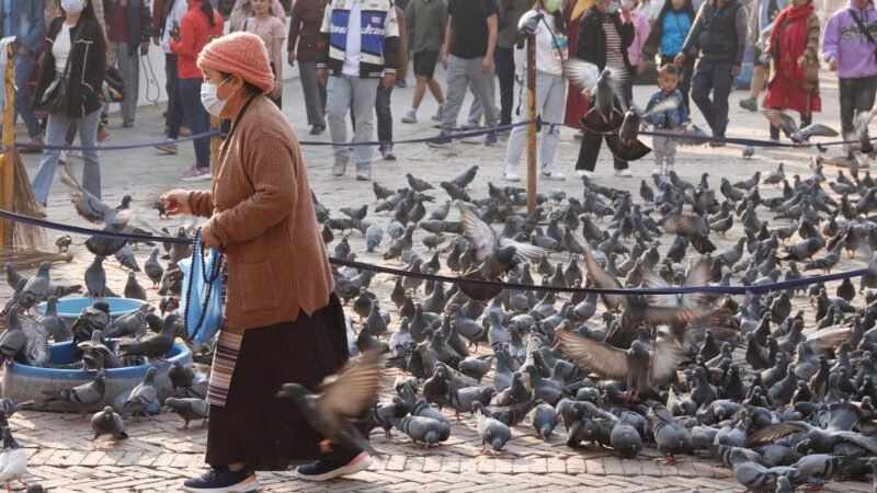 Tauben am Bodnath-Stupa