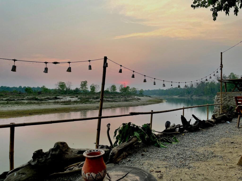 Ausblick aus der "Happy Lemontree Lodge"