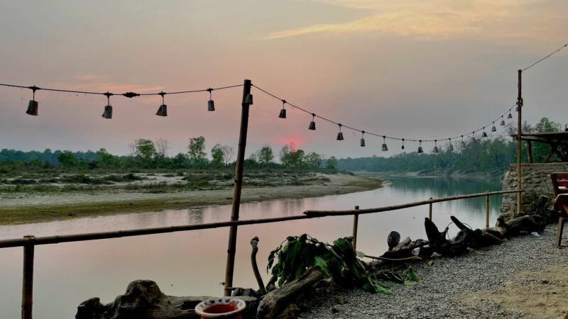 Ausblick aus der "Happy Lemontree Lodge"