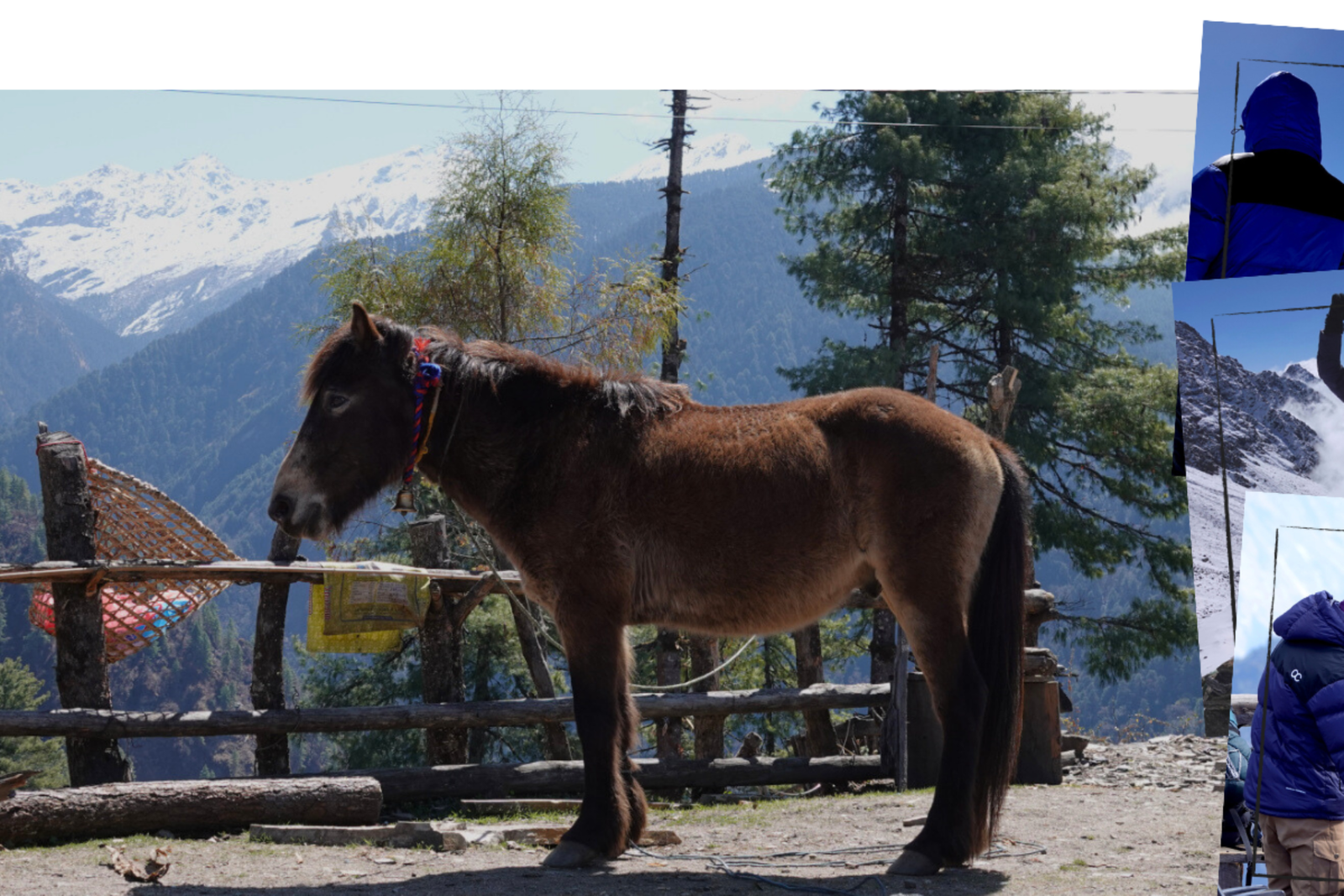 #4 – Nepal, Wandern im Himalaya