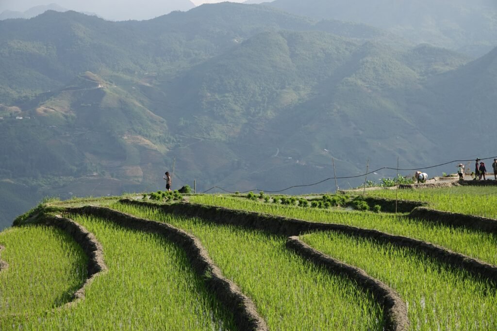 Nordvietnam (Sapa) - Grüne Landschaften mit beeindruckenden Bergen