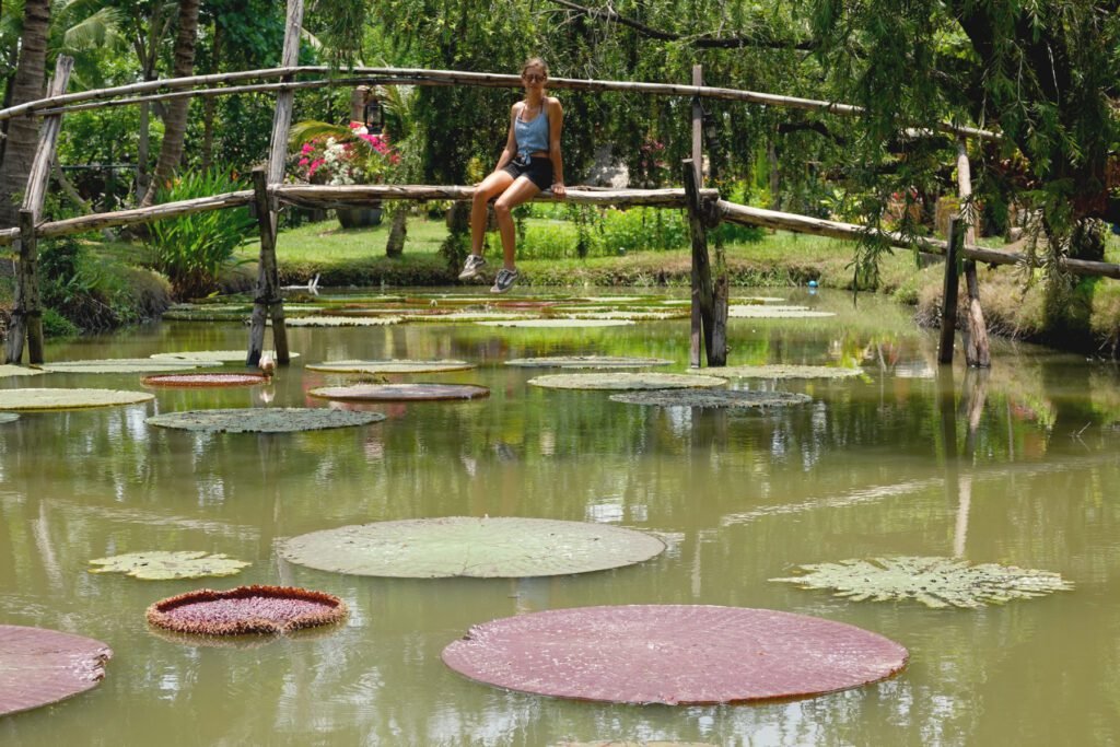 Im Park befinden sich Riesenseerosen