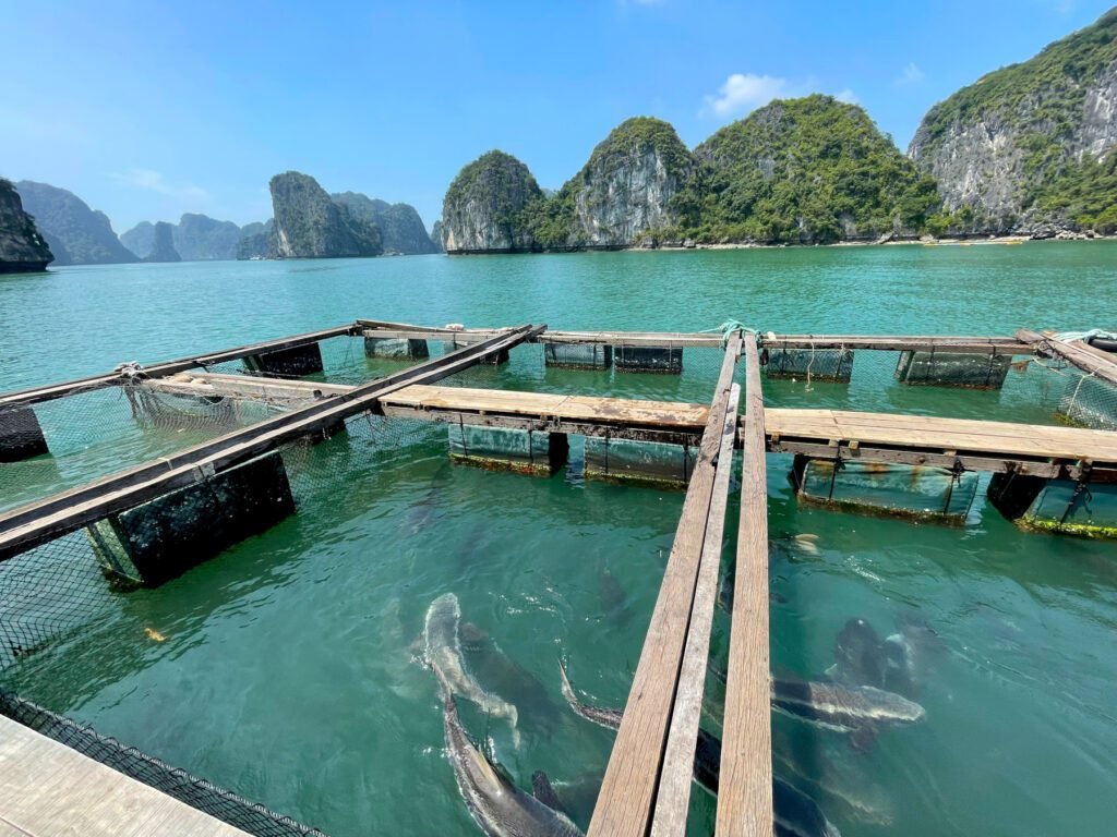 Ein schwimmendes Fischerdorf