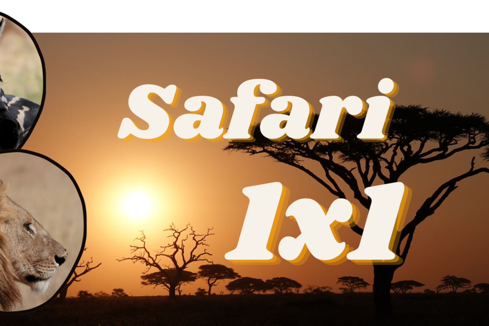 Safari 1×1 – Safari selbst organisieren. Was sollte ich beachten?