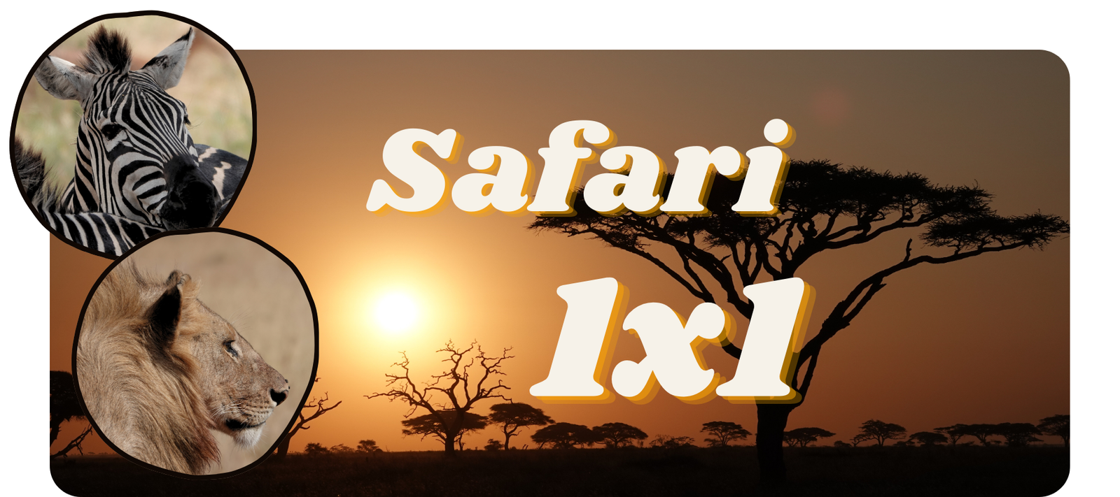 Read more about the article Safari 1×1 – Safari selbst organisieren. Was sollte ich beachten?