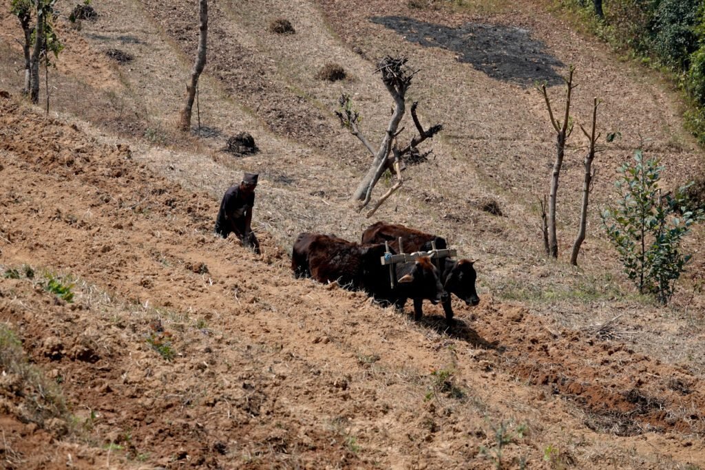 Ackerbau in einem Dorf in Nepal