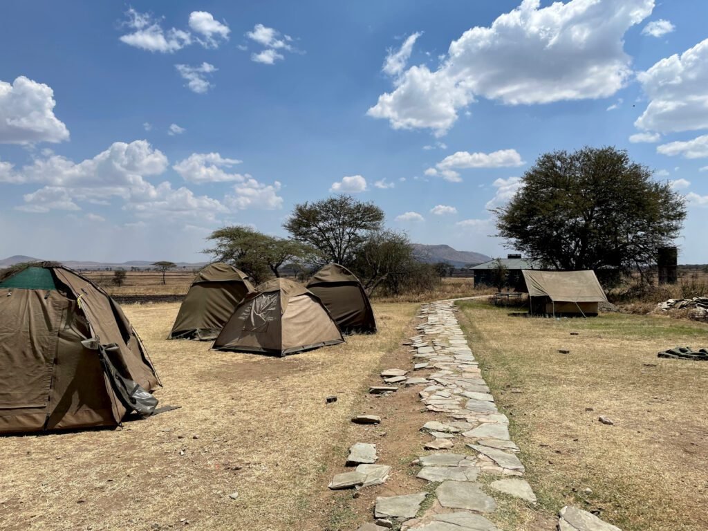 Campingplatz in der Serengeti mit Grundausstattung