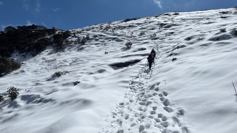 Wandern durch Schnee