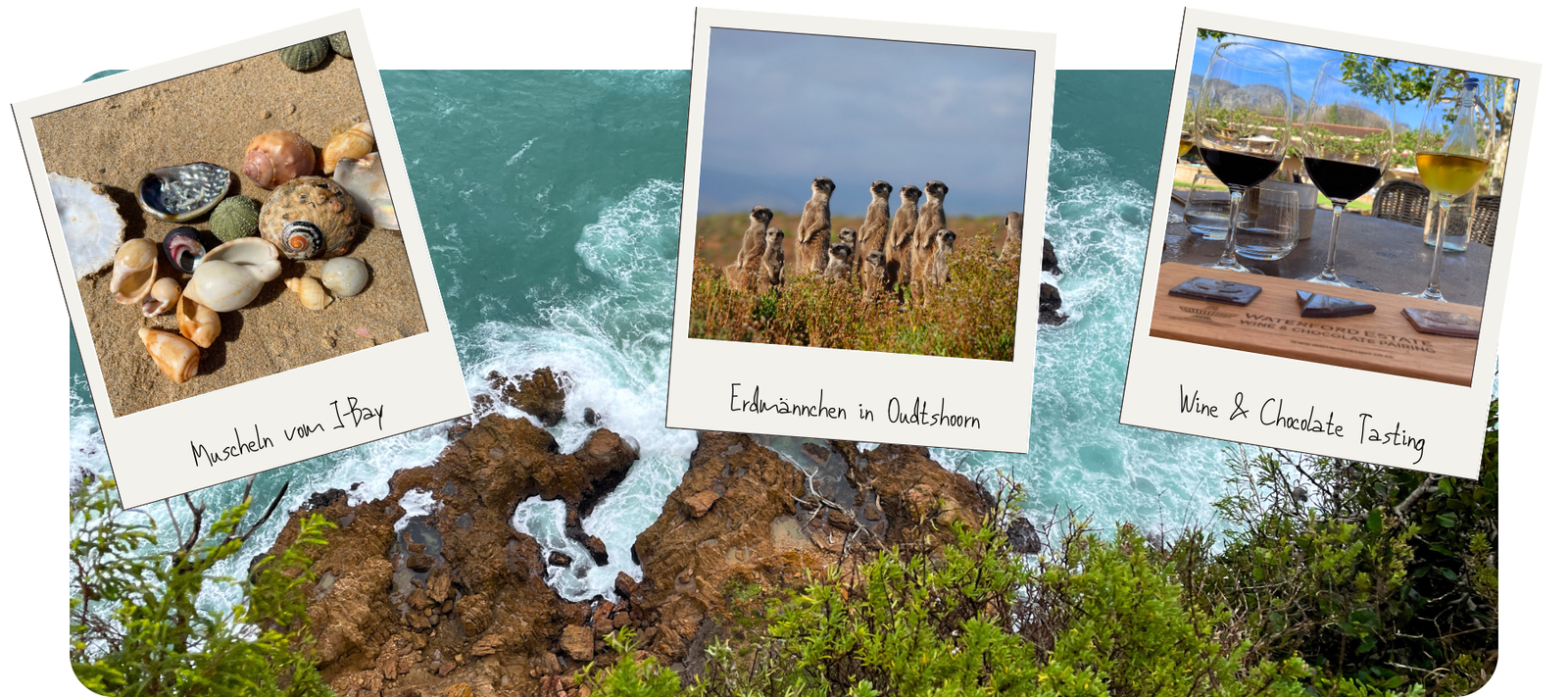 You are currently viewing #25 – Roadtrip durch Südafrika (Teil 4), Kapstadt und die Garden Route