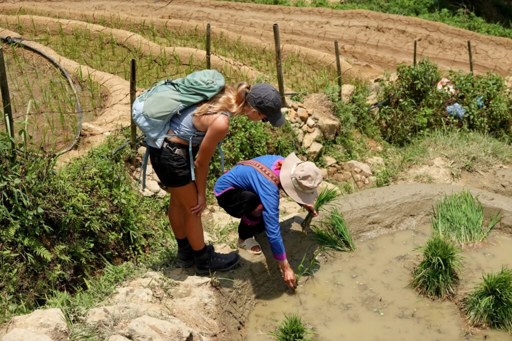Mama Lily zeigt uns wie Reis angebaut wird