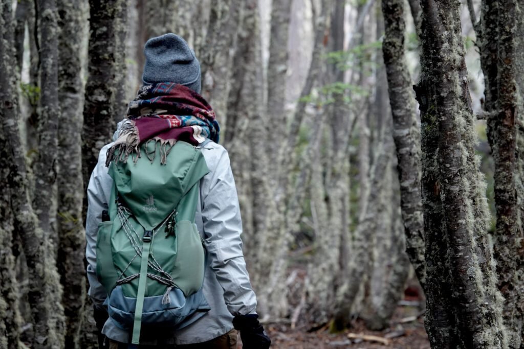 Wanderung im "Tierra del Fuego Nationalpark"