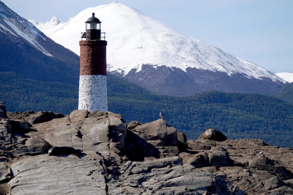 Leuchtturm mit Seeelefant