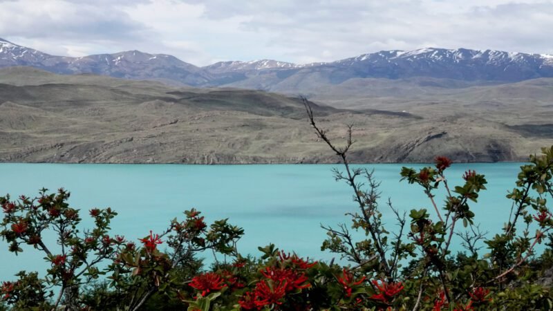 Torres del Paine W trek
