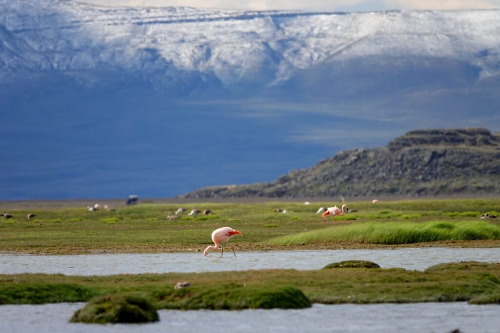 El Calafate und El Chalten
