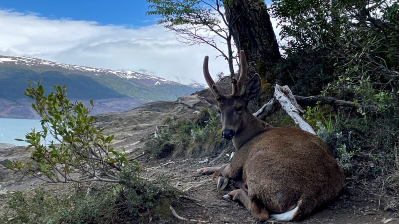 Torres del Paine W trek