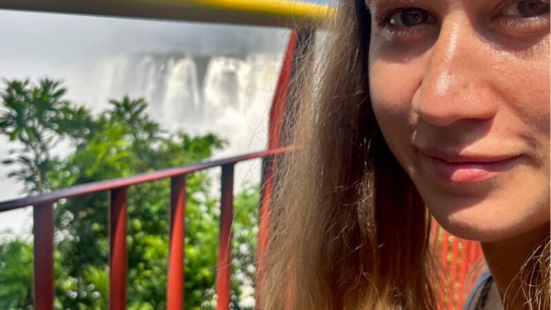 Es flogen viele Schmetterlinge