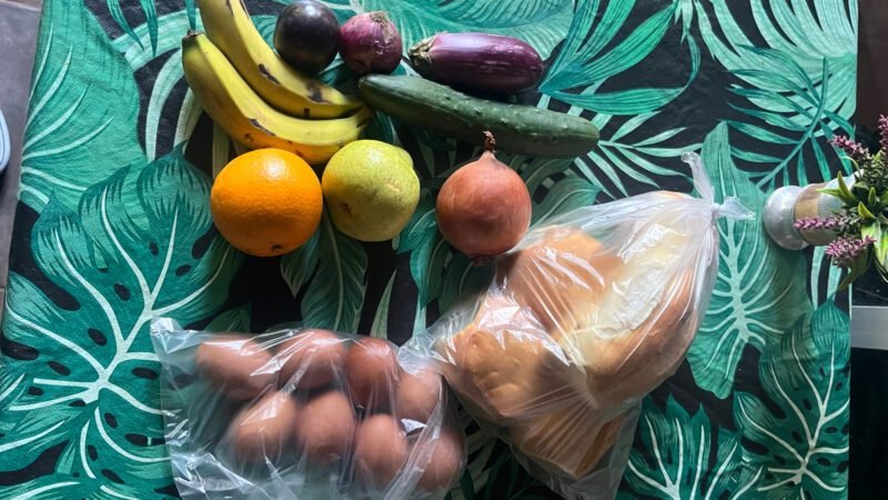 Unser Einkauf aus dem Obstladen