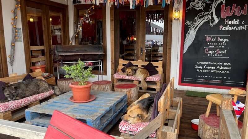 Torres del Paine W trek