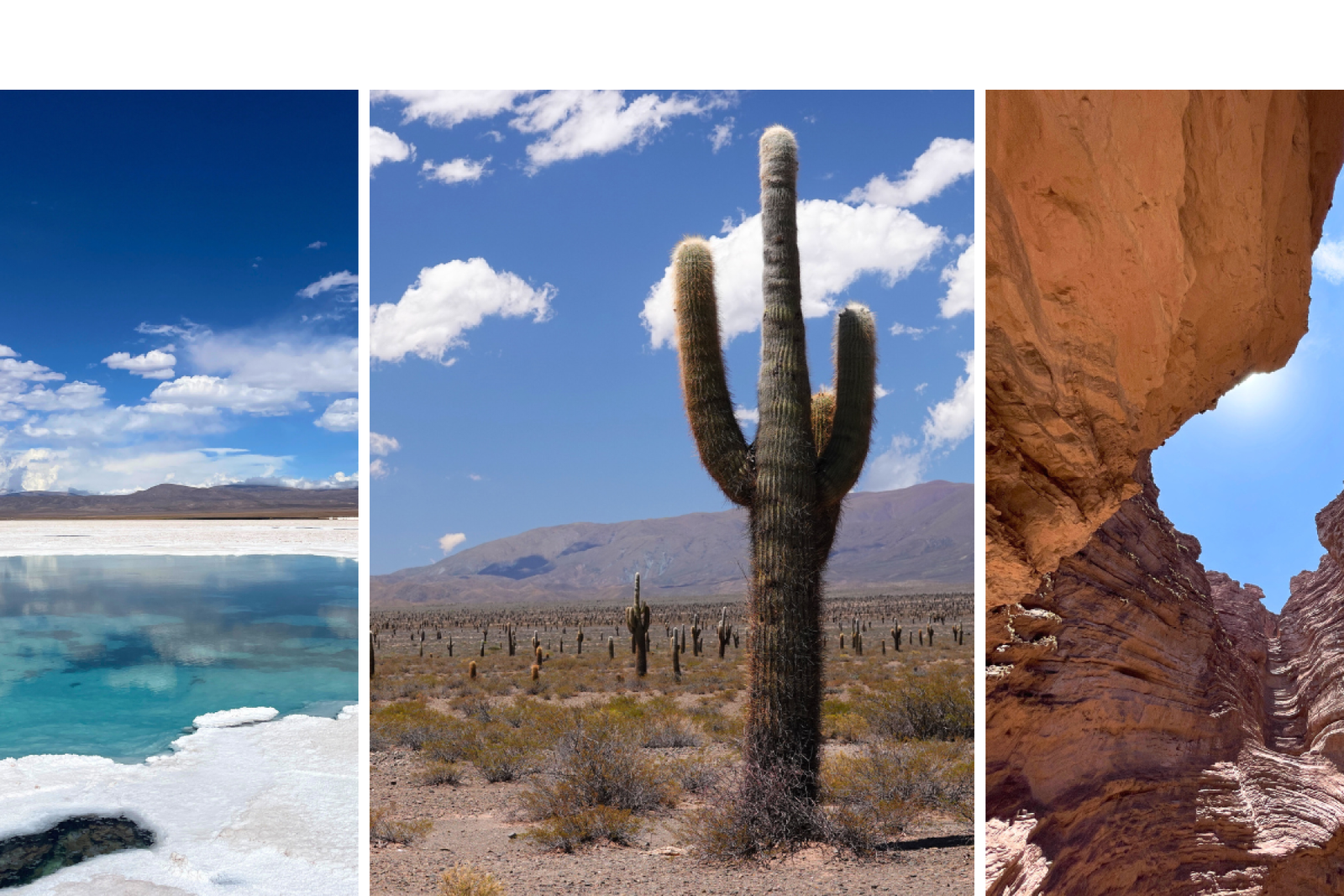 #34 – Argentinien, Roadtrip durch Salta