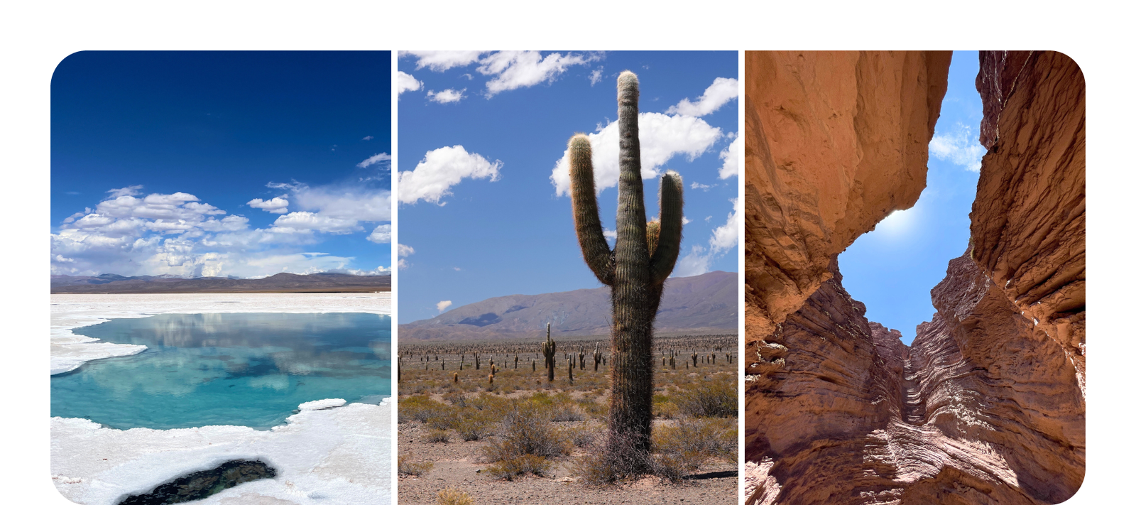 You are currently viewing #34 – Argentinien, Roadtrip durch Salta