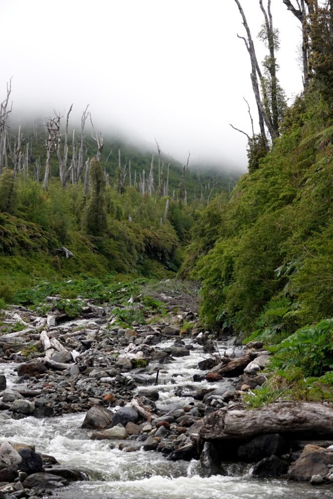 Schlechte Sicht am Morgen
