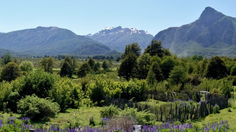 Panorama irgendwo auf der Carretera Austral
