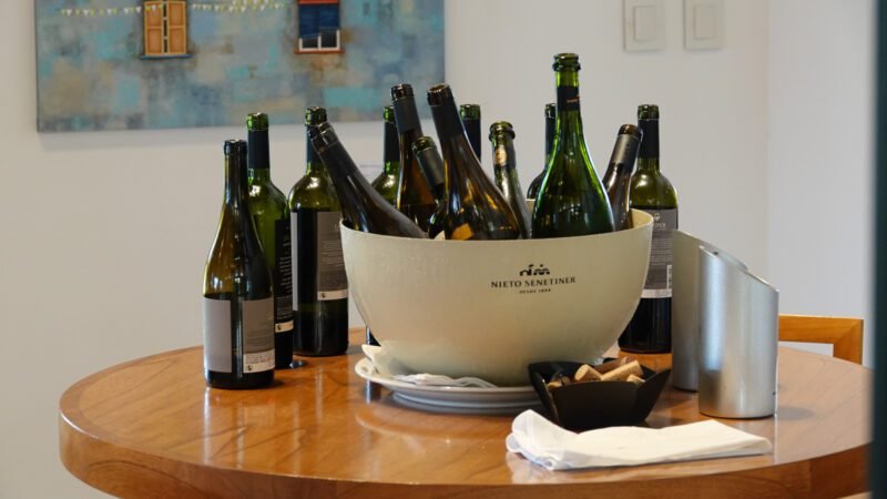 Weinprobe in Mendoza