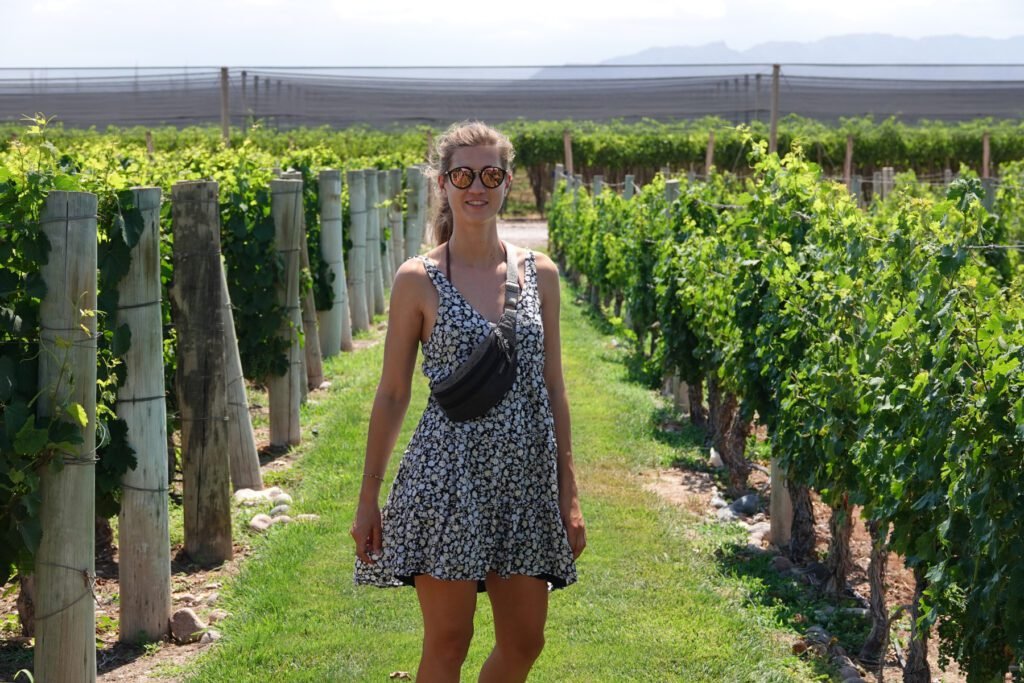 Führung durch die Weinfelder im Norton Weingut