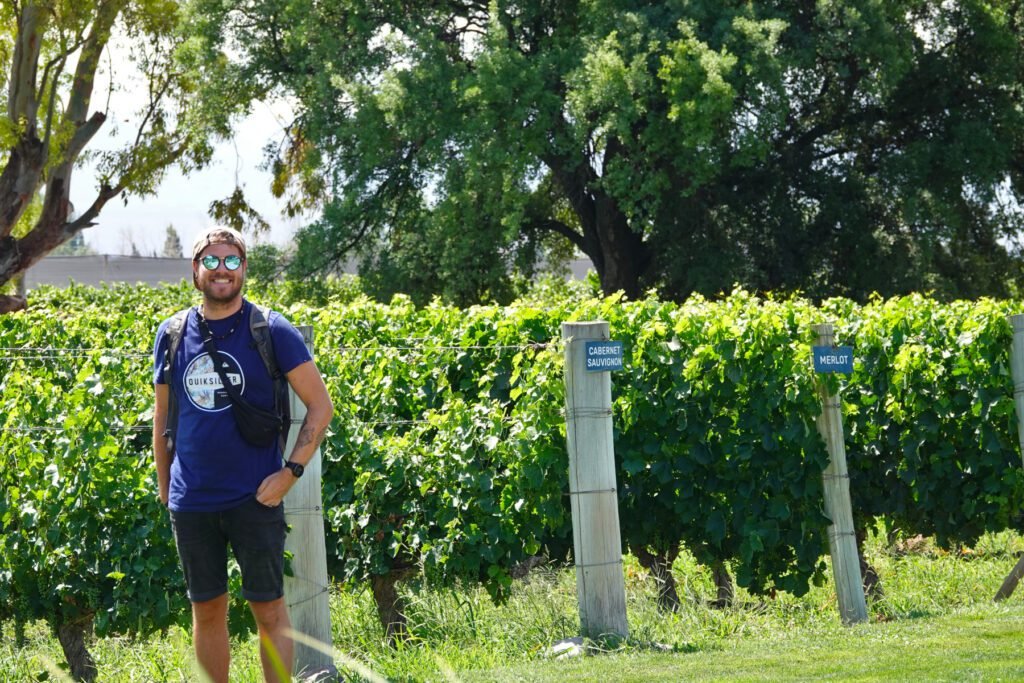 Während der Führung durch die Weinfelder