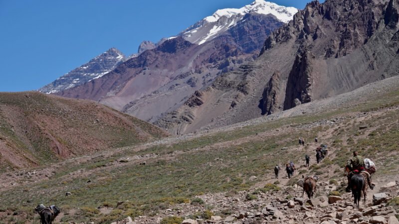 Eine Menge Esel und Gauchos waren unterwegs