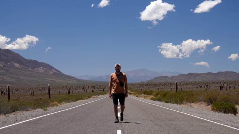 Endlos lange Straßen umgeben von Kakteen