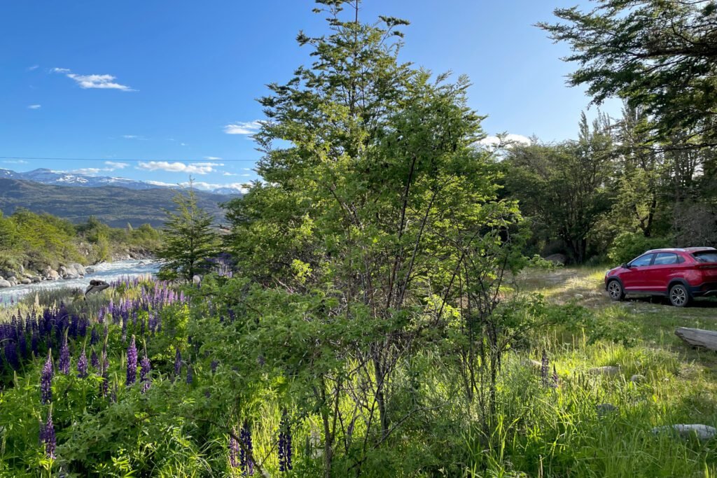 Was für ein schönes Plätzchen