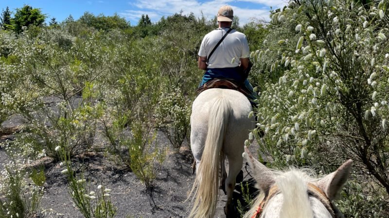 Reiten durch Vulkanerde