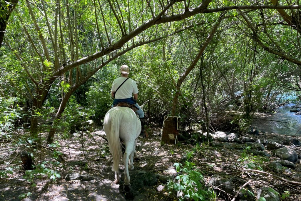 Vorbei am Fluss und durch schöne Wälder