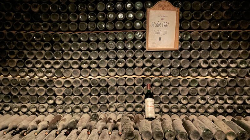 Sehr alte und staubige Weine im Keller des Norton Weinguts