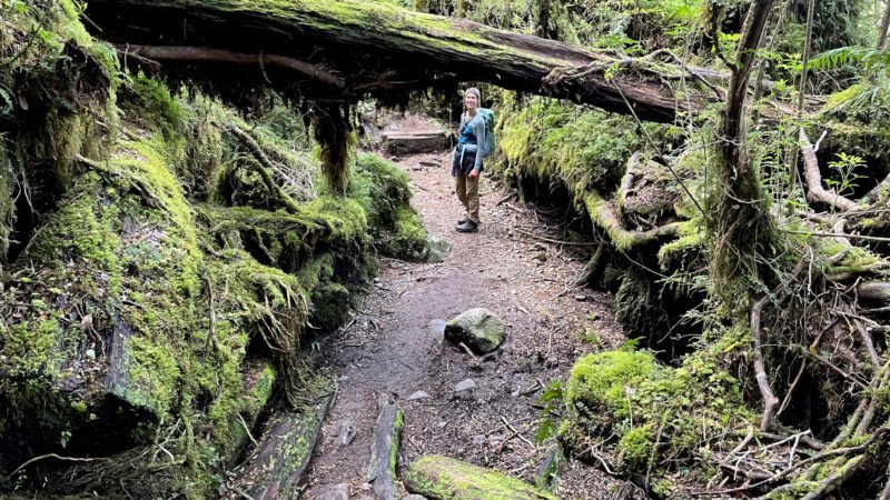 Wanderung im Queulat Nationalpark