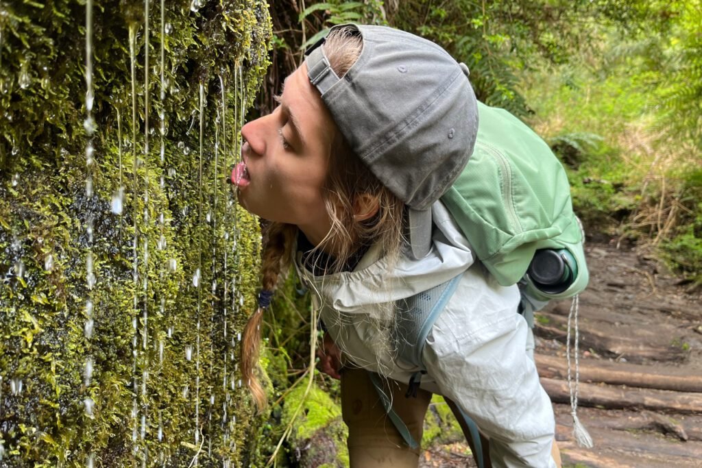 Der Moment, in dem ein Kolibri durch Vivis Beine flog