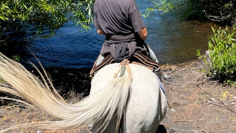 Mit dem Pferd im Mapuchegebiet