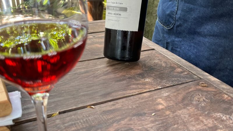 Weinprobe im Rincón Gieco Weingut