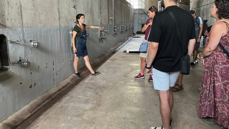 Führung und Weinprobe im Rincón Gieco Weingut