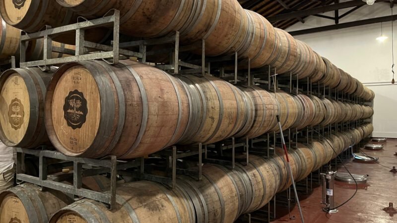 Wein benötig eine Menge Lagerfläche