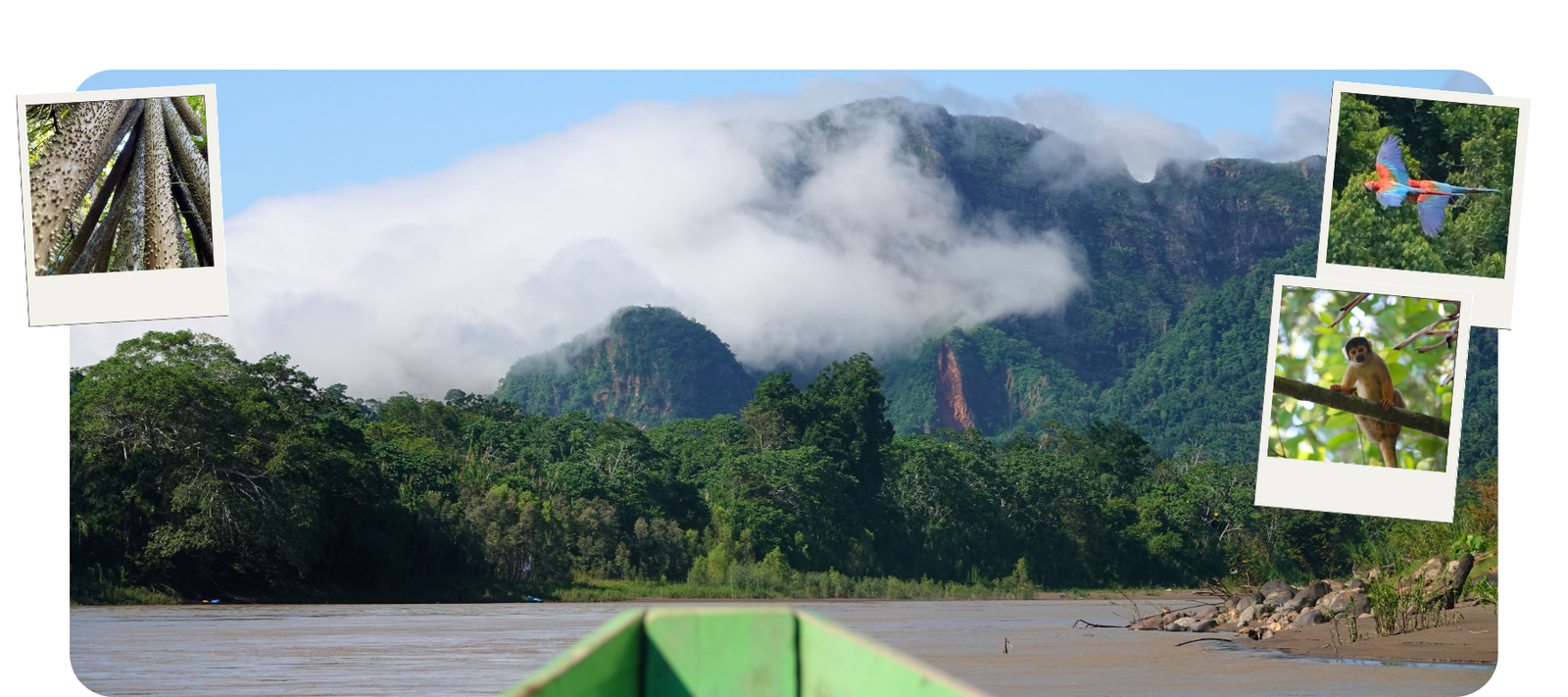 Read more about the article #38 – Bolivien, Rurrenabaque – der Amazonas Regenwald