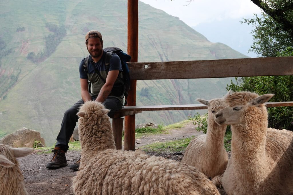 Janek macht Pause mit den Lamas
