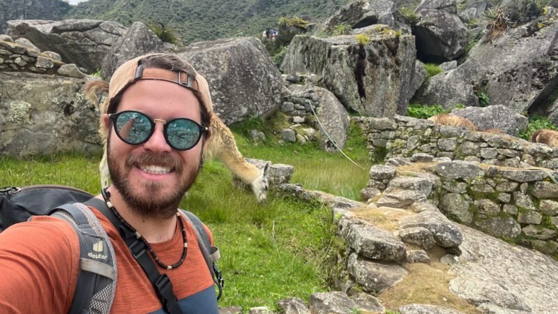 So viele Lamas beim Machu Picchu