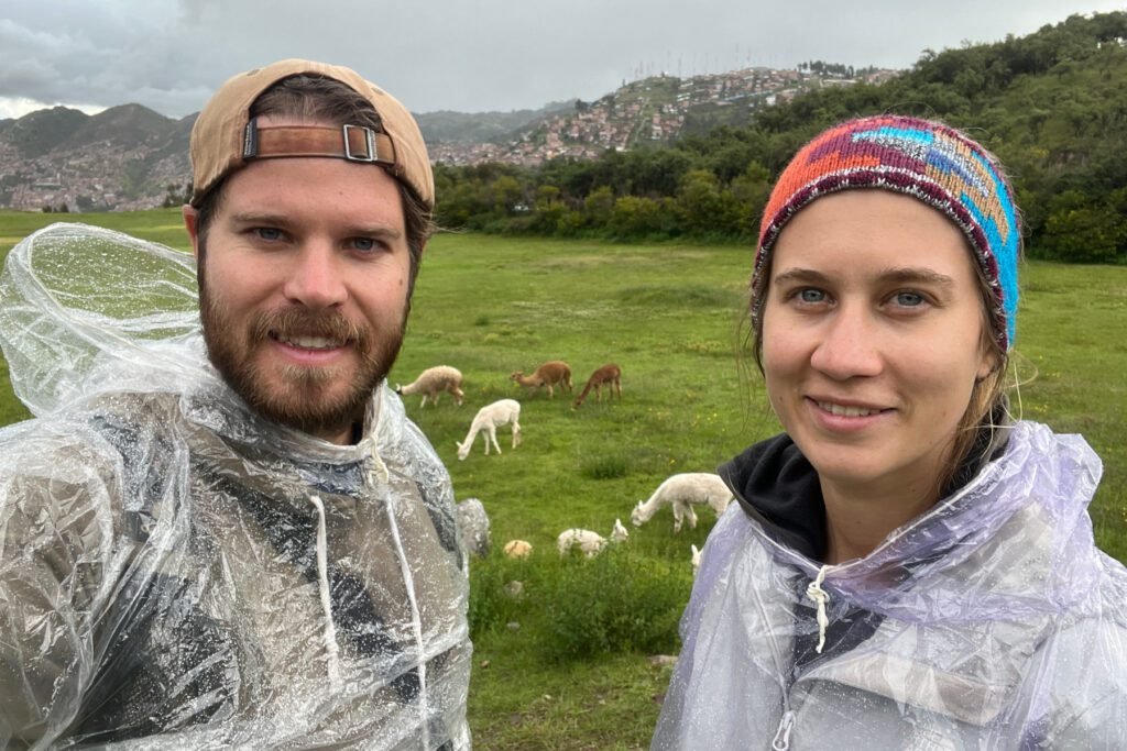 Lamas im Sacsayhuamán