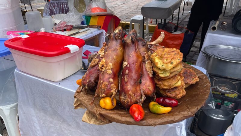 Cuy - Meerschweinchen
