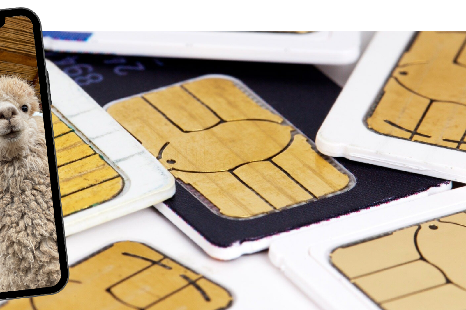 Reisen ins Ausland: Welche SIM-Karte brauchst du wirklich?